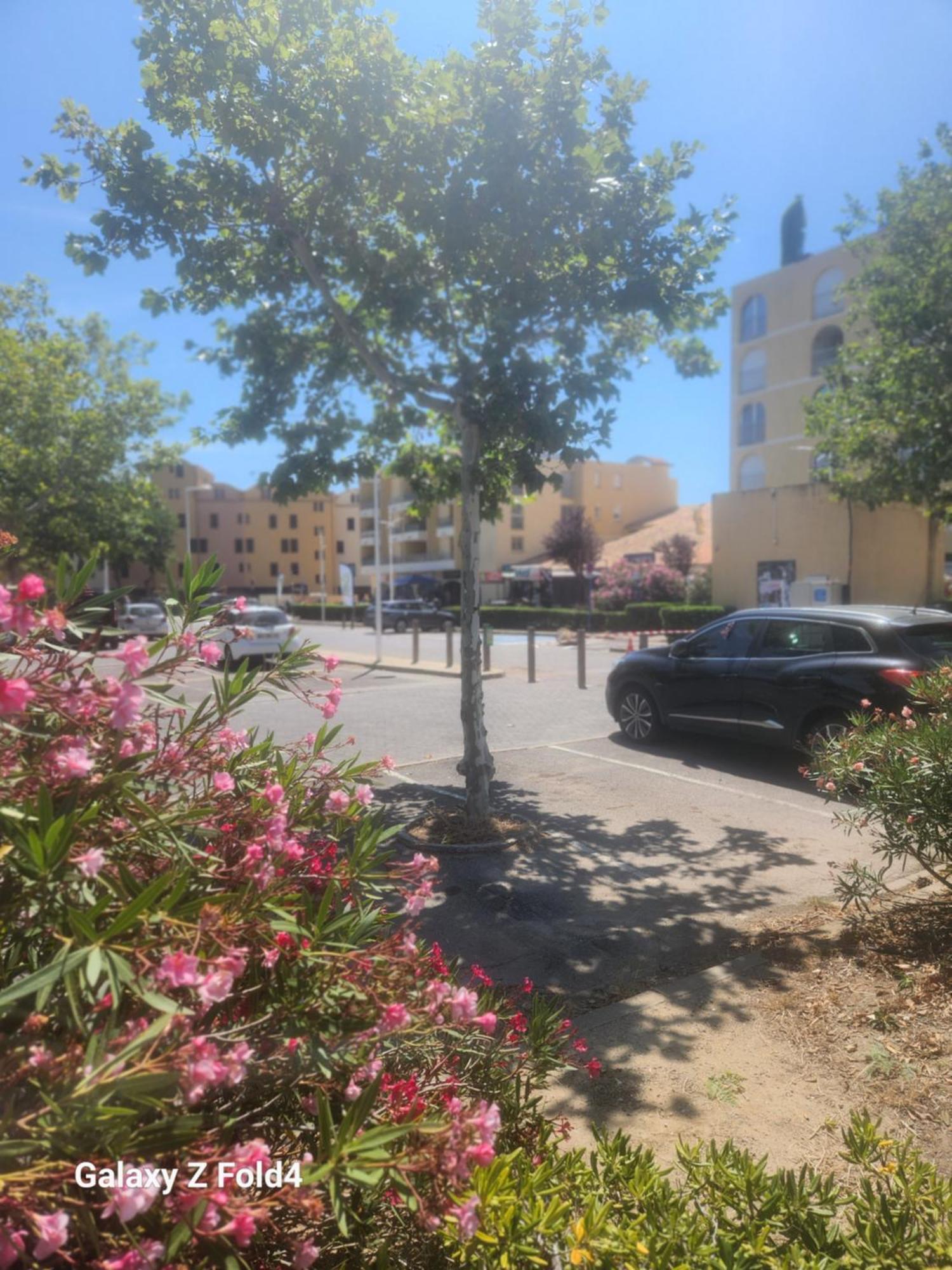 Grand Studio Cabine Proche Plage Et Port グリュイッサン エクステリア 写真